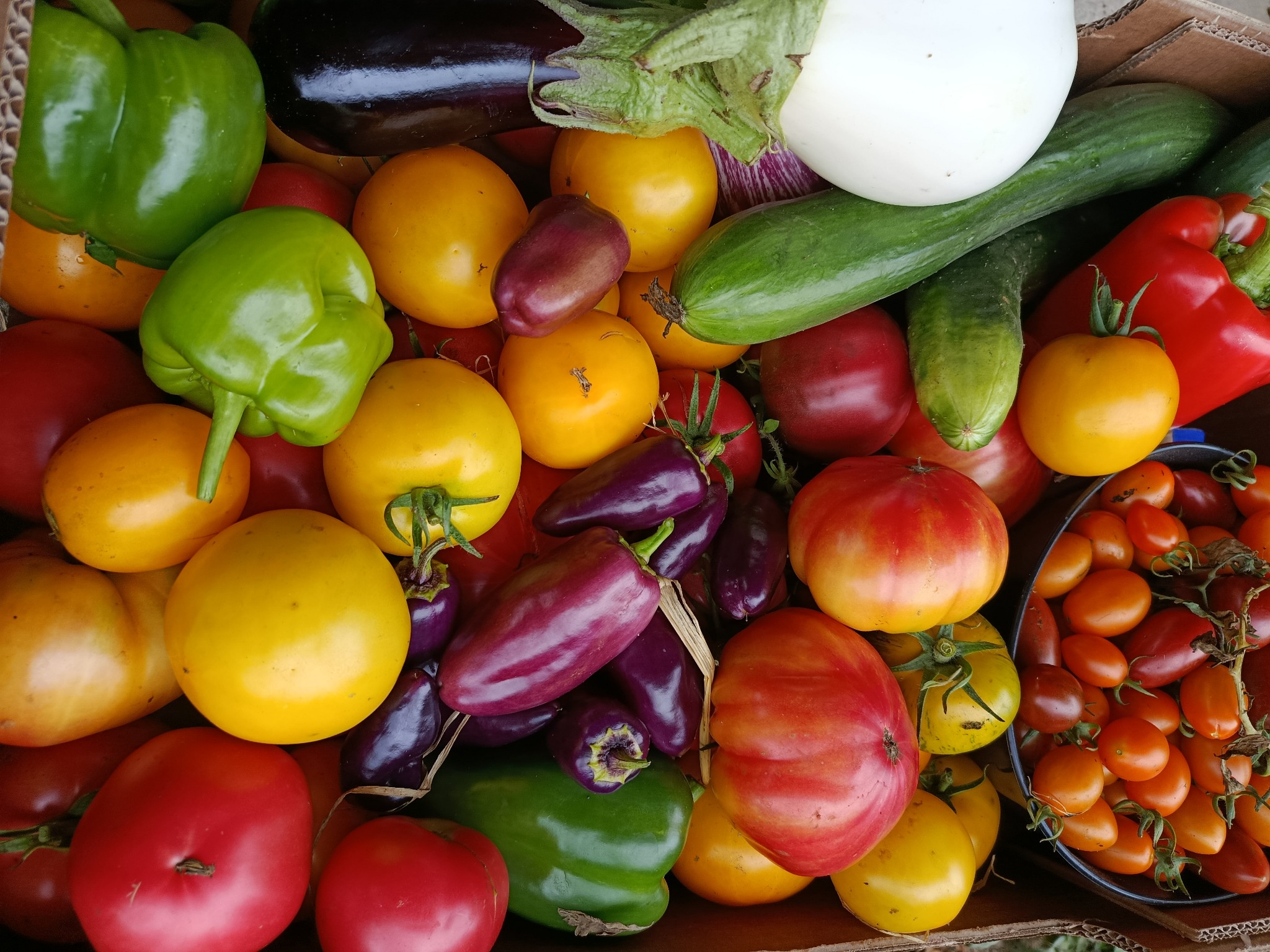 Récolte variée du potager du domaine